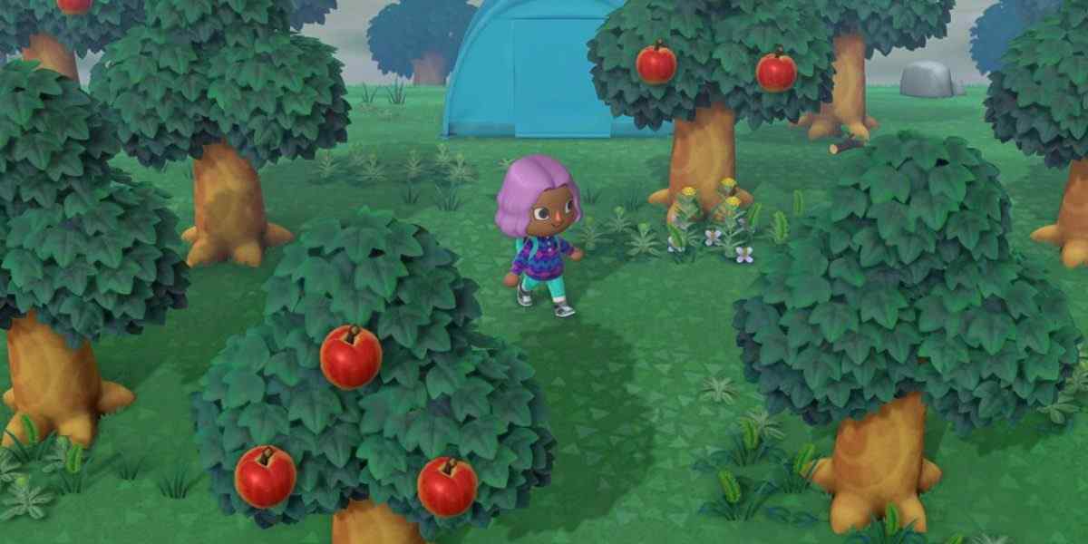 How to Fix Trees Not Growing in Animal Crossing New Horizons?