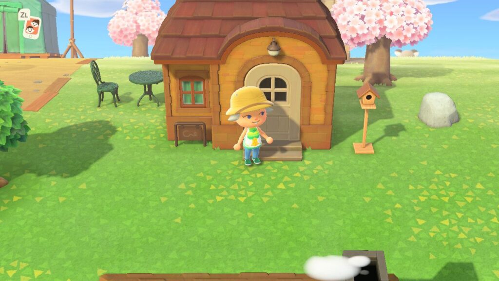 How Do You Plot Reset in Animal Crossing?