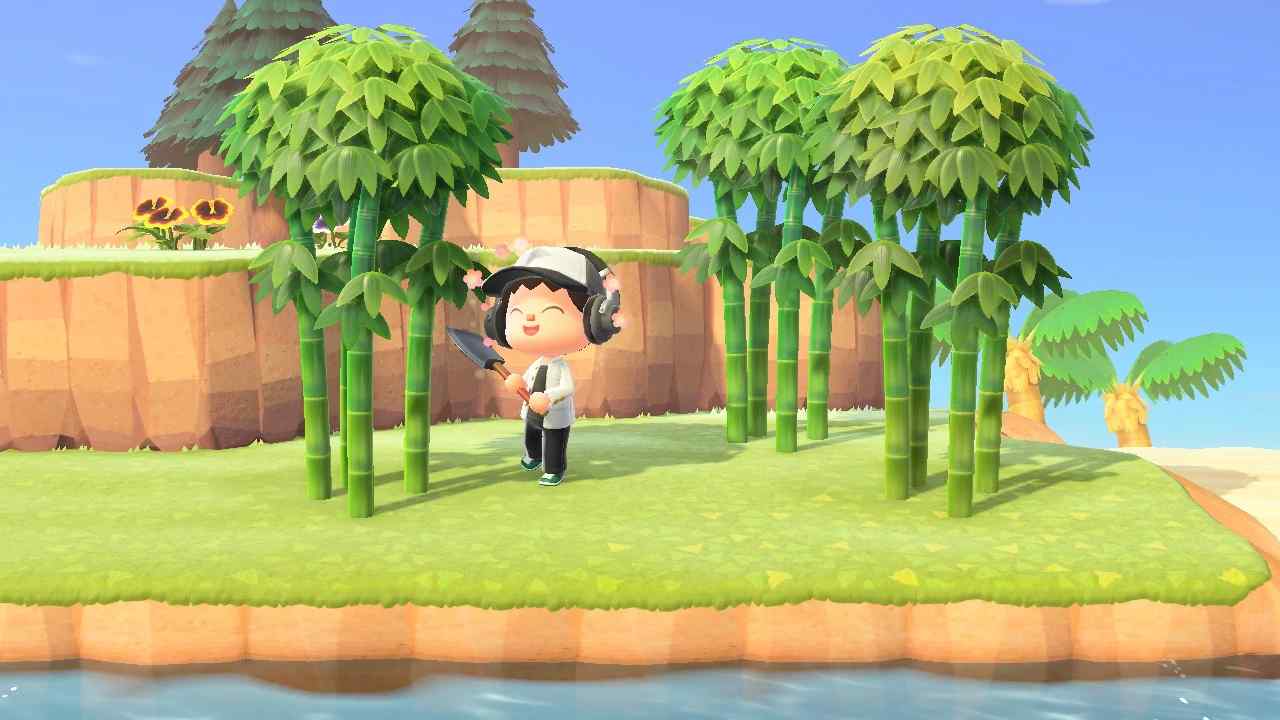 Where To Plant Bamboo In Animal Crossing? The Ultimate Guide