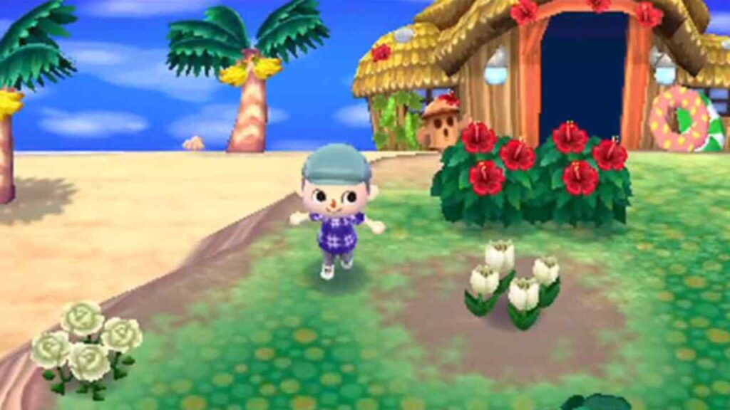 How Many Villagers Can You Have In Animal Crossing New Leaf?