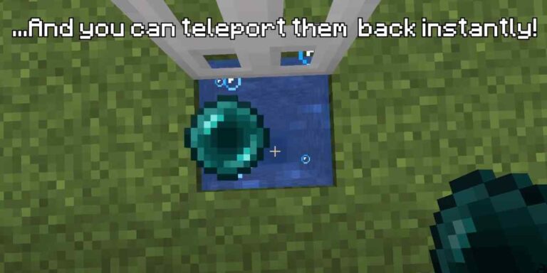 How To Teleport Someone To You In Minecraft?