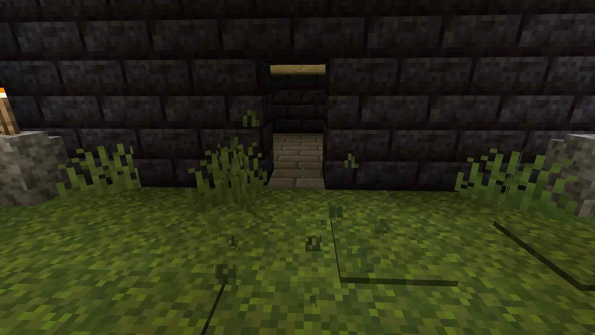 How To Hide A Lever In Minecraft? Quick Guide