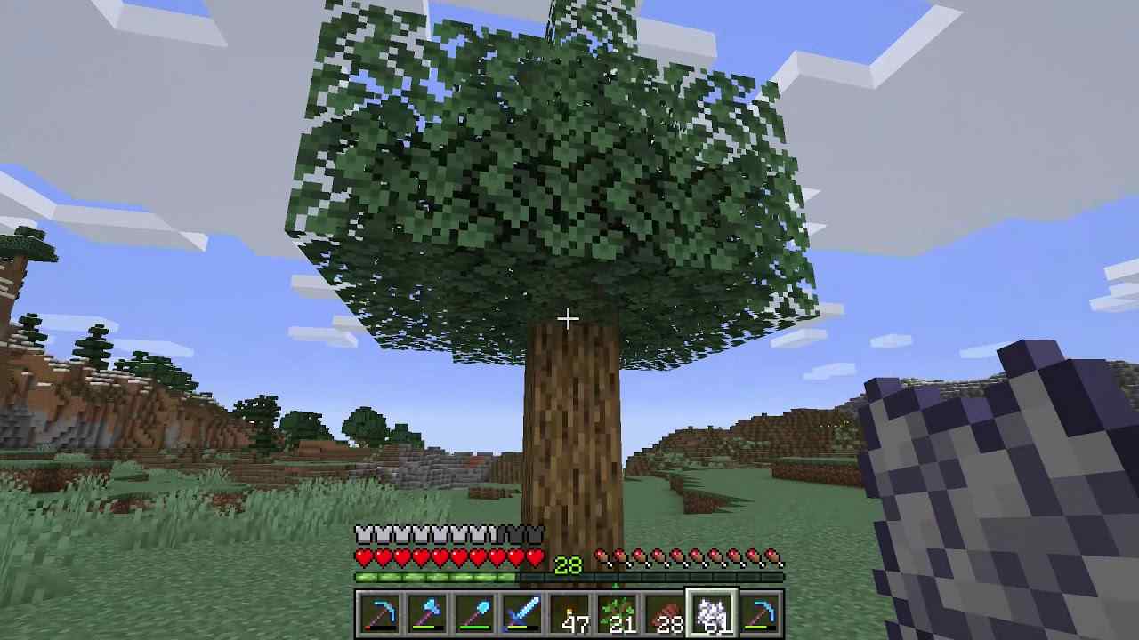 How Long Does It Take For Trees To Grow In Minecraft?