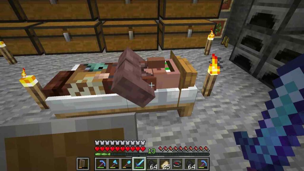 Finally! The Definitive Guide To Villager Bed Restocking! - ohwuq2f