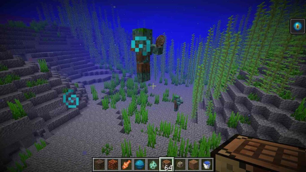 What Do You Do With A Nautilus Shell In Minecraft What Do Nautilus Shells Do In Minecraft? – All You Need To Know