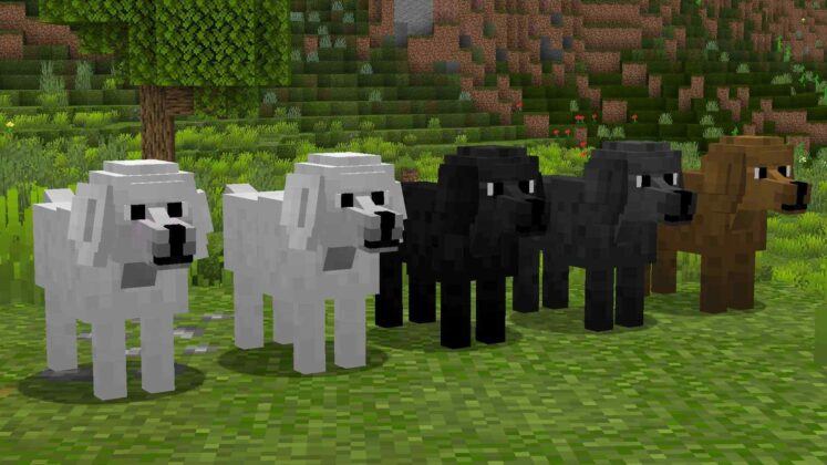 What Do Dogs Eat In Minecraft? - The Ultimate Guide