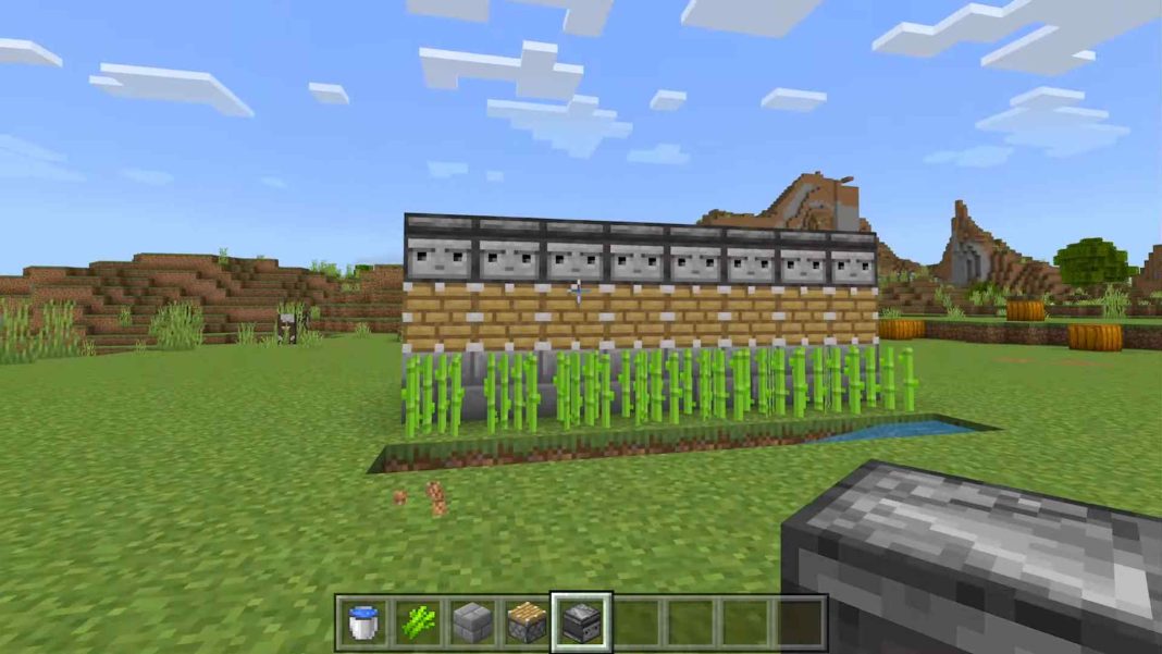 Can You Bonemeal Sugarcane In Minecraft? (Quick Answer)