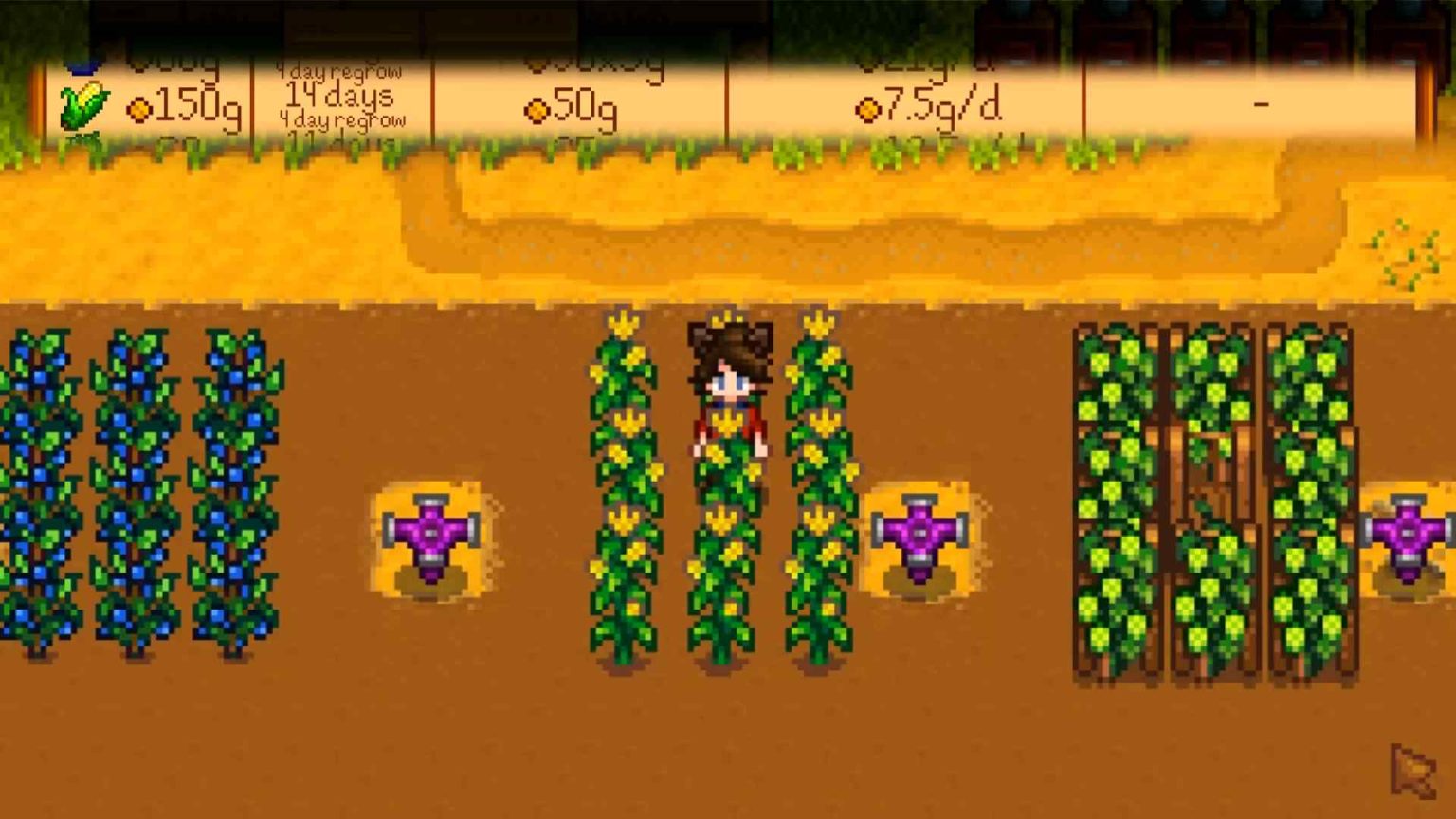 The Best Place To Sell Crops In Stardew Valley Game Boy World