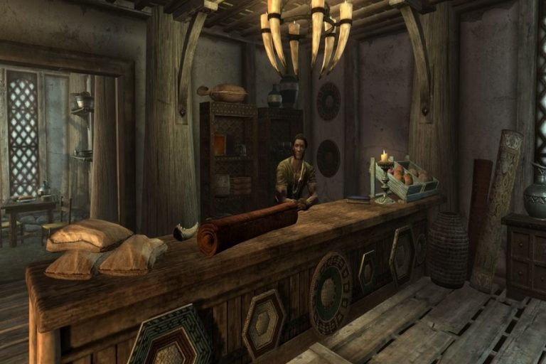 Skyrim Store Investment Guide Boosting Profit & Influence